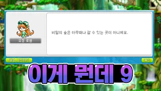 [메이플 이게 뭔데] 9. 쉿 비밀의 숲