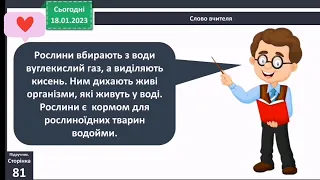 Природні угрупування - прісні водойми. 3 клас Я досліджую світ 1 частина Бібік