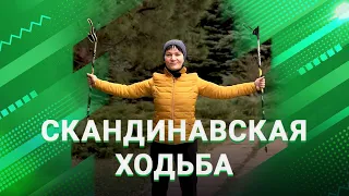 Скандинавская ходьба. Выпуск 1