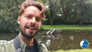 Hoe begin je met vogels kijken? Tips van Arjan Dwarshuis