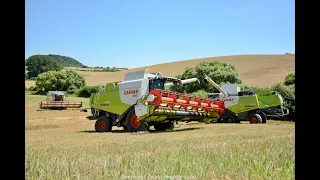 Žatva - Harvest 2020 - 3x Claas Lexion ( 650, 670TT , 750TT ); Case + New Holland