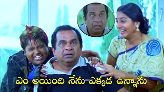 Brahmanandam Ultimate Comedy Scenes | Best Comedy Telugu movies of all Time || Namo Venkatesa
