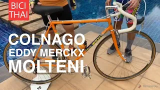 Colnago Eddy Merckx MOLTENI