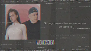 Macan, scerina- IVL (текст песни)