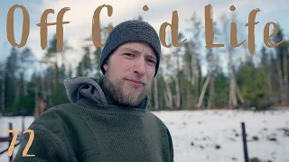 Winter is coming! Life in a Cabin in the Swedish Wilderness