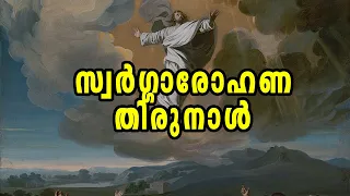 സ്വർഗ്ഗാരോഹണ തിരുനാൾ | Malayalam Sunday Homily Year A 2023 | Dn Anu C