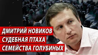 Дмитрий Новиков. Судебная птаха семейства голубиных. | Журналистские расследования Евгения Михайлова