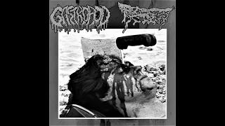 Gastropod - Tracks From The Split w/ Acrid Infestation (2022)