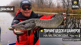 Твичинг шедов и шайнеров на мелководье. Алексей Шанин. Часть 2. Anglers Practical