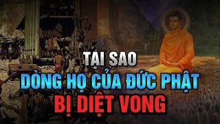 Vì sao DÒNG TỘC THÍCH CA MÂU NI BỊ DIỆT VONG - Đức Phật cũng không thể cứu được?