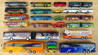 Buses Collection - Long Buses, Small Buses, Buses Colors & More! A great selection of buses