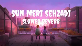 Sun meri sehzadi | slowed reverb | lofi