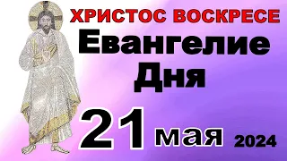 Включи прямо сейчас!  Евангелие дня 21 мая  2024 года