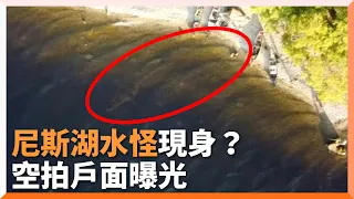 尼斯湖水怪現身？露營男空拍驚見「長頸生物」清晰身影｜英國｜蘇格蘭｜不明生物