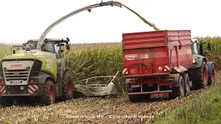 Claas - Fendt / Maissilage - Silaging Maize  TB