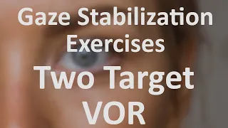 Vestibular Gaze Stabilization Exercise - Two Target VOR