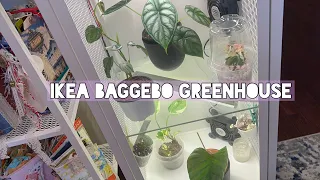 Ikea greenhouse tour // baggebo & what plants I keep inside + fave supplies