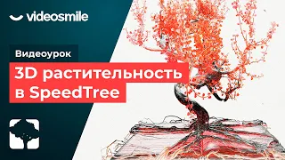 Создание 3D-растительности в программе SpeedTree