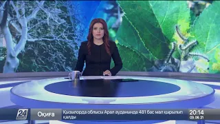 Нашествие гусениц наблюдается в Актюбинской области