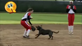 Funny Animal Interference Moments In Sport