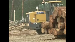 Министерство лесного хозяйства прокомментировало проверку