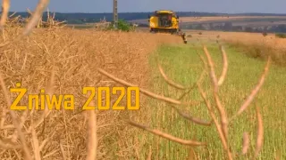 Zniwa 2020 • New Holland TC5070•