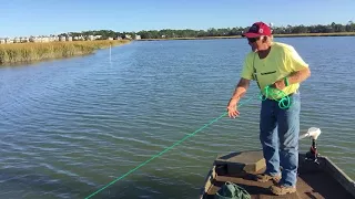 Shrimping in Beaufort with Ms. Debrah and the Dogs