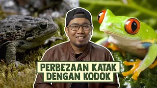 Perbezaan Katak dengan Kodok