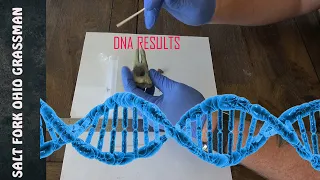 Salt Fork Ohio Grassman aka Bigfoot Tooth DNA Results