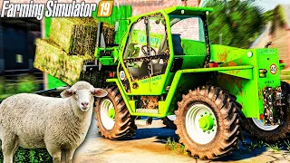 BUYING SHEEP | Les Chazets | Farming Simulator 19 | Episode 9