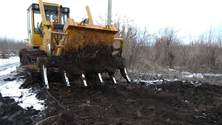 РАСКОРЧЁВКА,ВЫКОРЧЁВКА,ВЫКОПКА ДЕРЕВЬЕВ СТАРОГО САДА С КОРНЯМИ, КОРЧЕВАНИЕ ТРАКТОРОМ