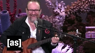 Colin Hay on FishCenter | FishCenter | Adult Swim