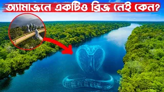 আমাজন নদীতে ব্রিজ না থাকার আসল কারণ! Why Amazon River Has No Bridge?