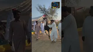 Abid kanwal ll Chokri ll #shorts ll Horse Dance ll 2022