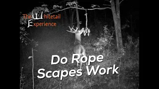 Rope Scrapes for better Hunting| Do They Work?