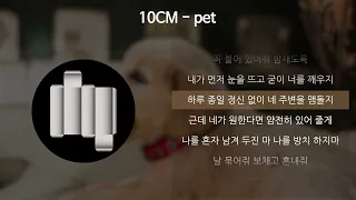 10CM - pet [가사/Lyrics]