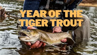 MONSTER TIGER TROUT! YEAR OF THE TIGER🐅. First video of 2022! Amazing fishing trip to Pennsylvania.