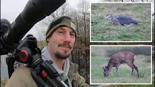 🎥🦊Hobby wildlife filmmaker in wintry East Frisia❄️