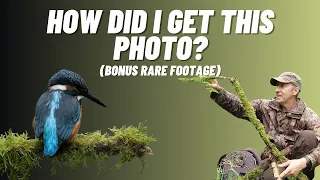 Creating the Perfect Setup for Kingfisher Photos (Plus Rare Footage and Channel Update)