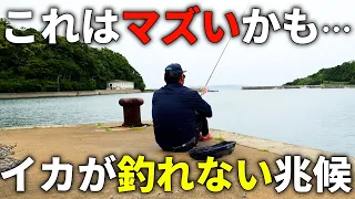 【絶望】こうなったら帰ったり移動してOK！春エギングで厳しい時に起こりがちな特徴を教えます。