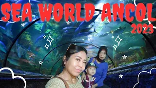 🇮🇩 SEA WORLD ANCOL 2023 & CEK HARGA TIKETNYA | DESTINASI AQUARIUM TERBESAR DIJAKARTA