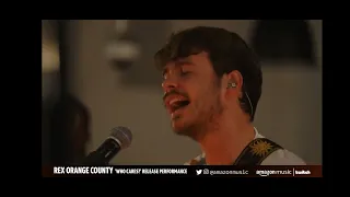 (Pluto Projector) Rex Orange County Live on Twitch Amazon Music