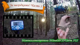 За находками по Карельскому перешейку. Часть 1. Металлоискатель Minelab X-Terra 705. Муха-кровососка