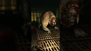 Flying Pinky pigs in Doom 3: BFG Edition