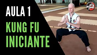 Kung Fu para Iniciantes | Aula 1 | Treino de Kung Fu em Casa