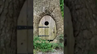 Real life Elf House