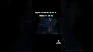 whaaaat Казахские черепашки ниндзя