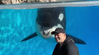 Killer Whale Up Close (Full Tour) SeaWorld San Diego 4K (12-7-22)