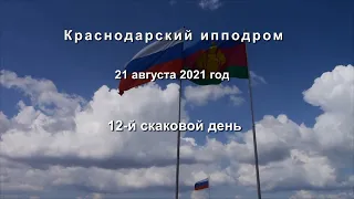 Видео 12 скаковой день - 21.08.2021г.  Краснодарский ипподром