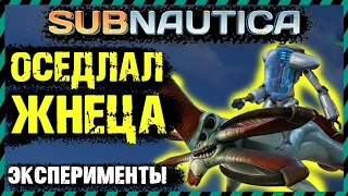 Subnautica ВЫЖИЛ ПРИ ВЗРЫВЕ ЦИКЛОПА ИЗ-ЗА БАГА. ЭКСПЕРИМЕНТЫ